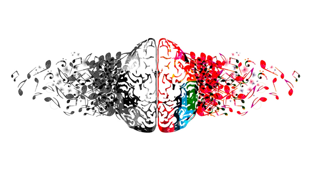 The Power of Melody and Rhythm: How Music Affects Our Brain