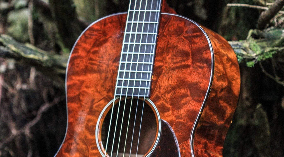 The Tree: The story of the world’s most coveted tonewood