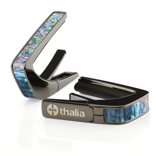 Prism Abalone | Capo