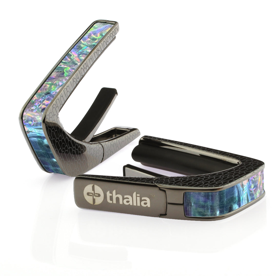 Prism Abalone | Capo