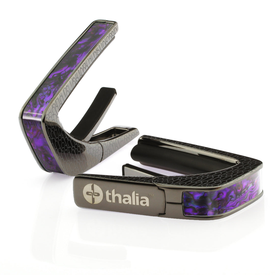 Purple Paua | Capo
