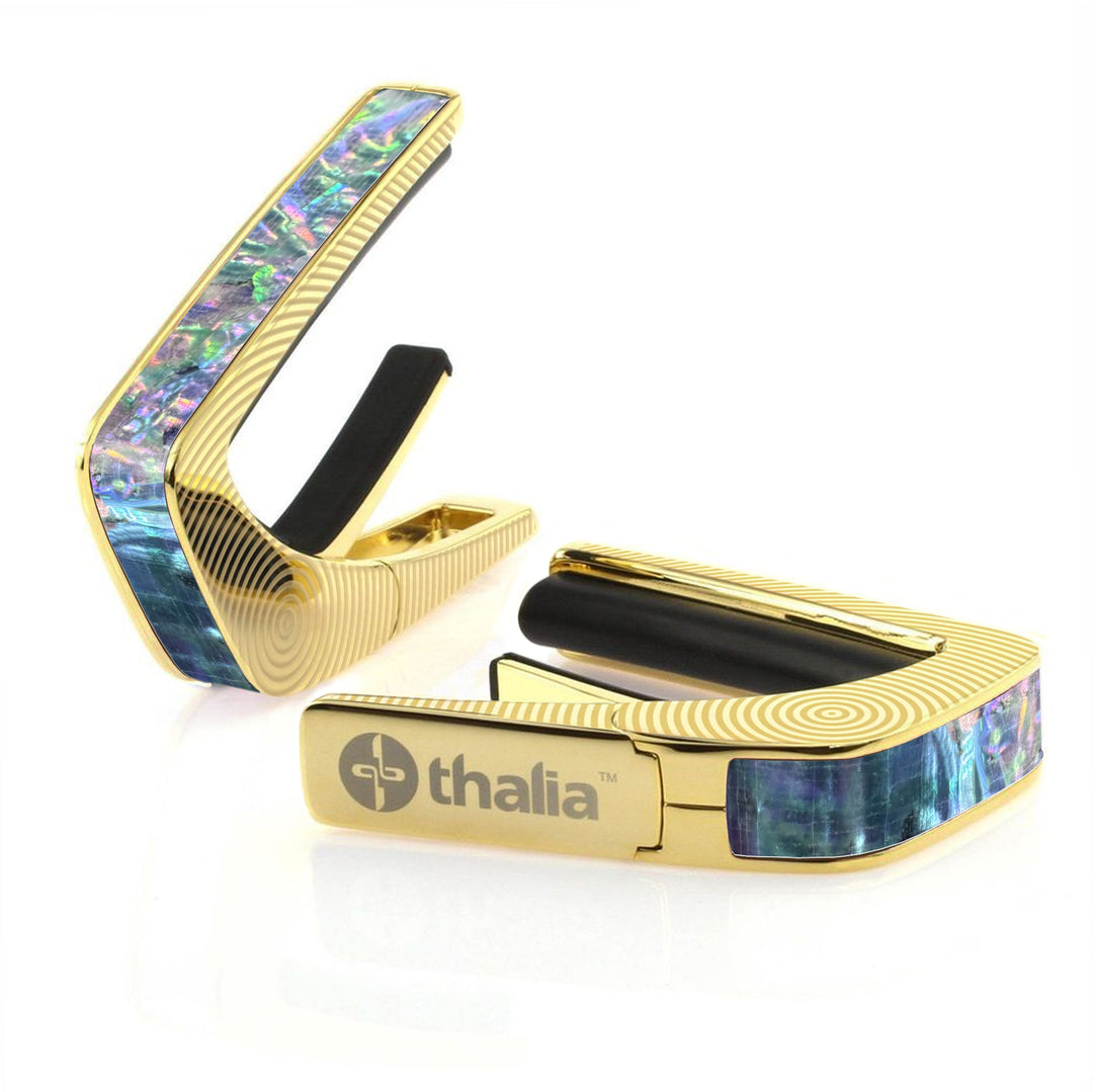 Prism Abalone | Capo