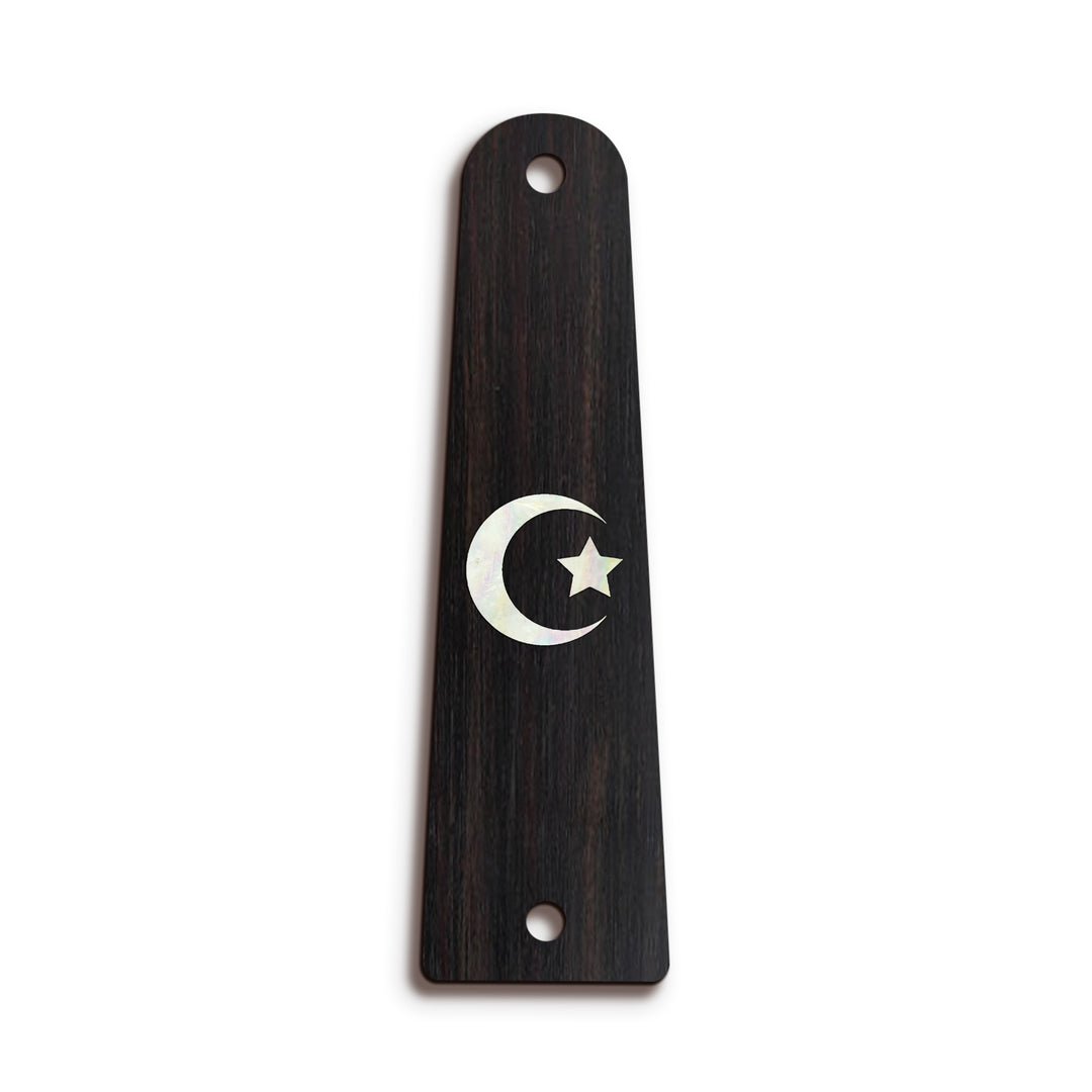 Taylor TR14 | Truss Rod Covers