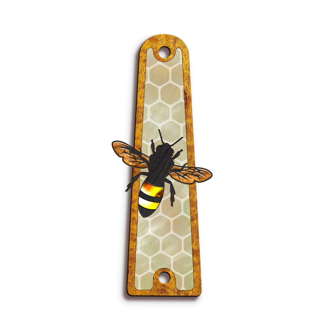 Taylor TR14 | Truss Rod Covers