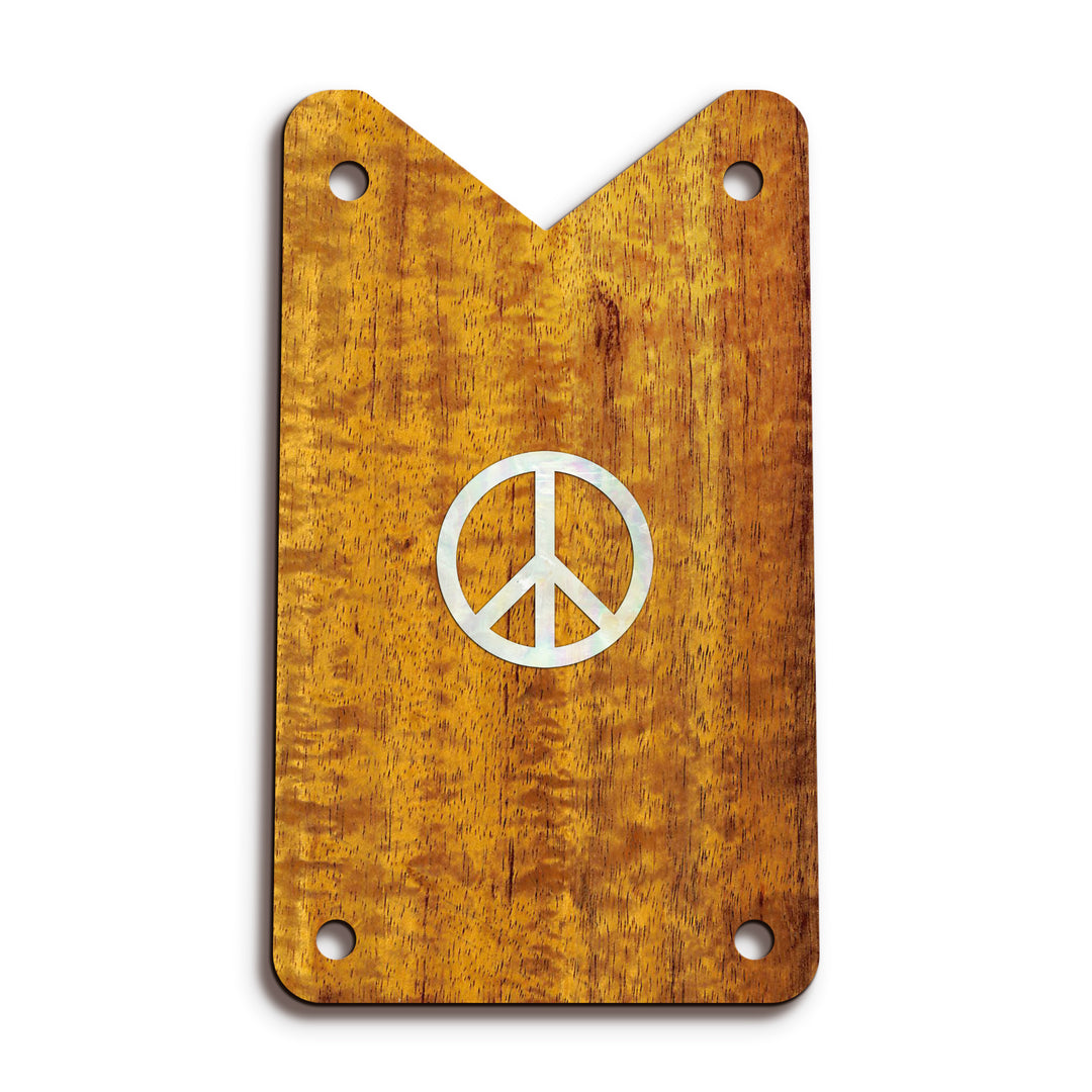 Schecter TR15 | Truss Rod Covers