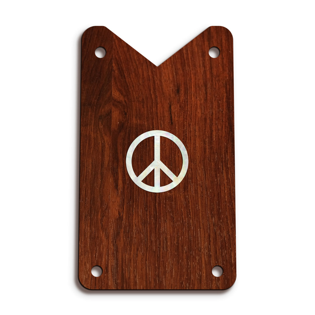 Schecter TR15 | Truss Rod Covers