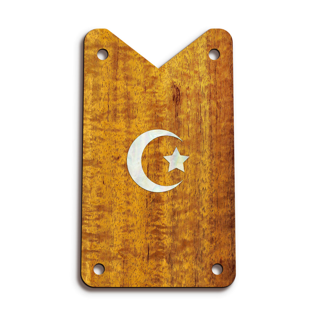 Schecter TR15 | Truss Rod Covers