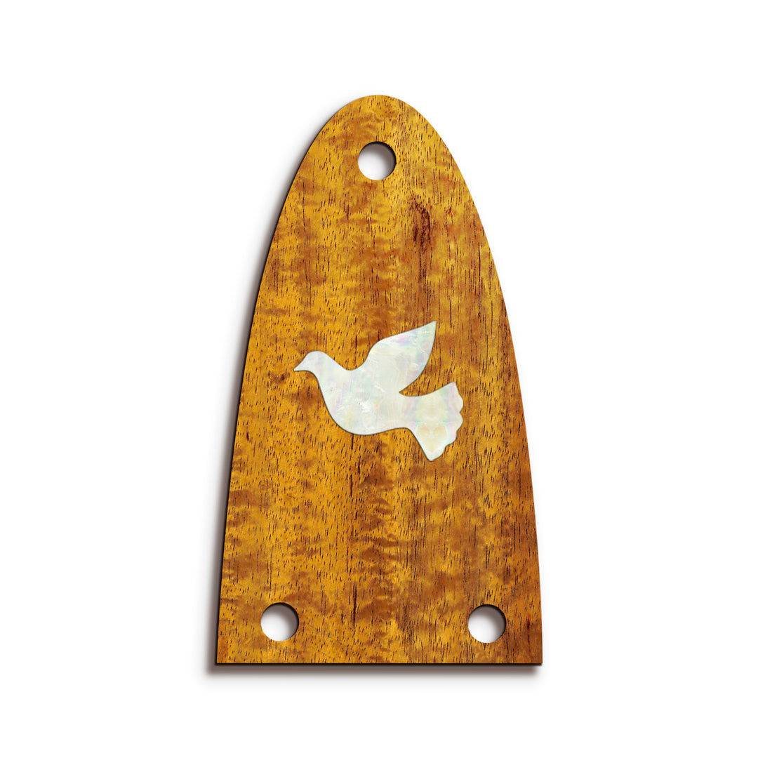Alvarez TR26 | Truss Rod Covers