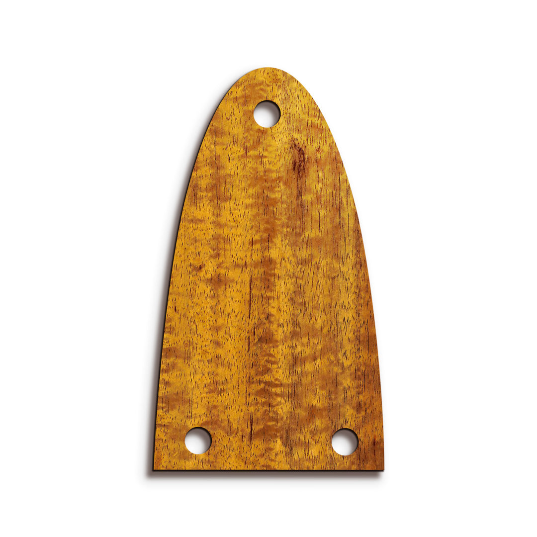 Alvarez TR26 | Truss Rod Covers