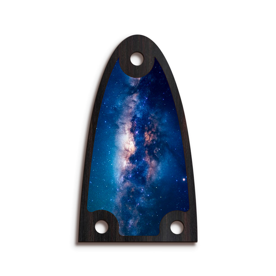 Alvarez TR26 | Truss Rod Covers