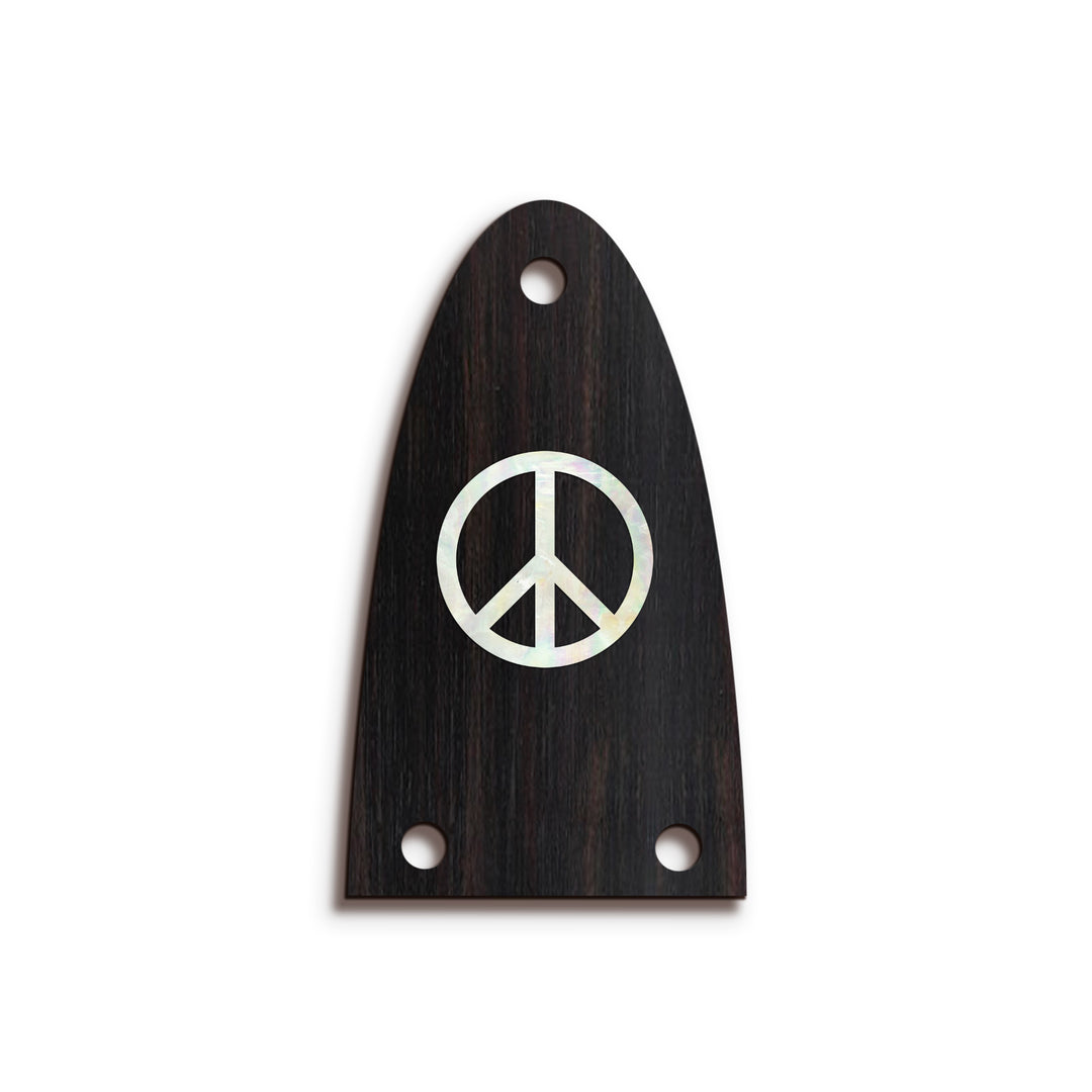 Alvarez TR26 | Truss Rod Covers