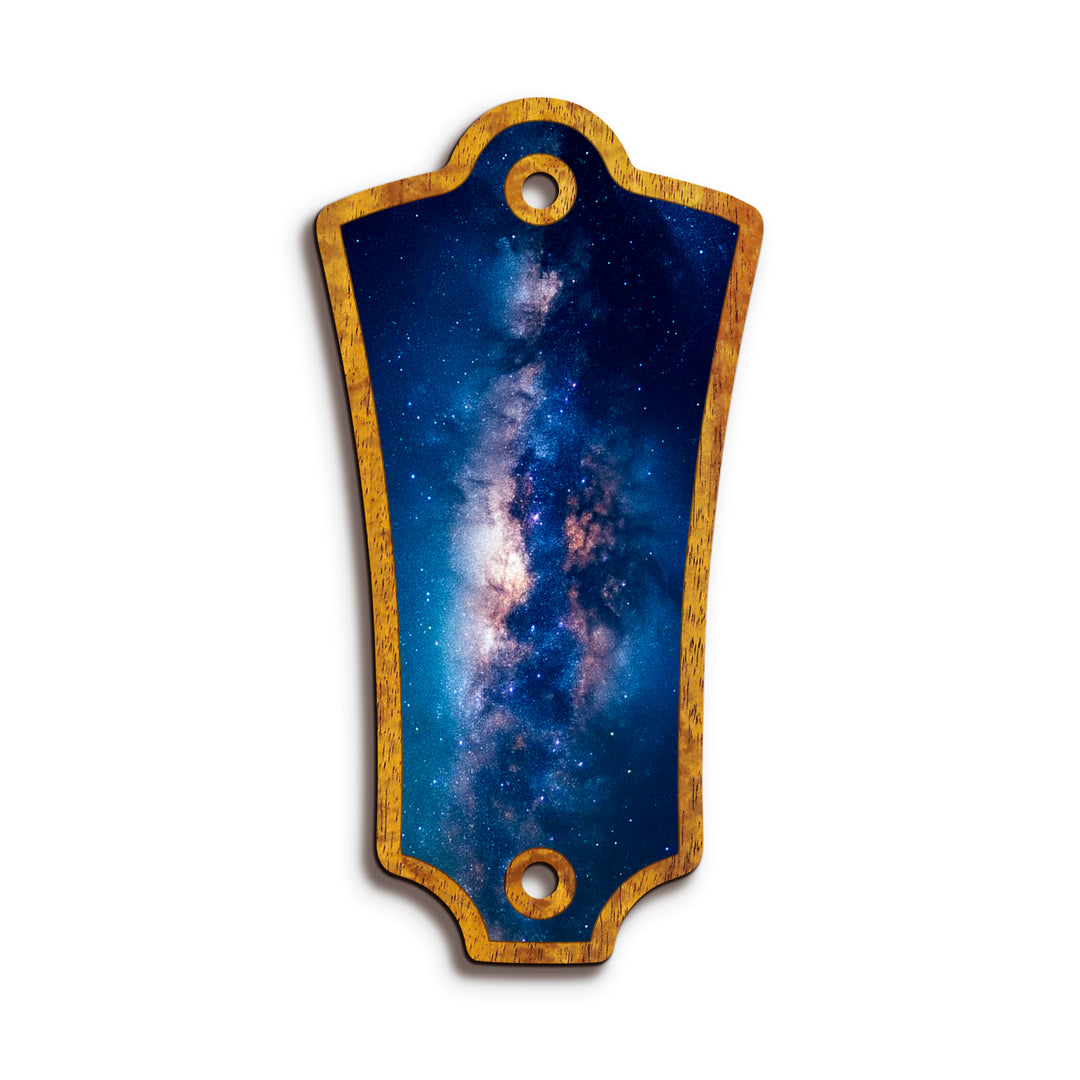 Guild TR2 | Truss Rod Covers