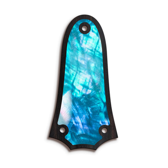 Taylor TR3 | Truss Rod Covers