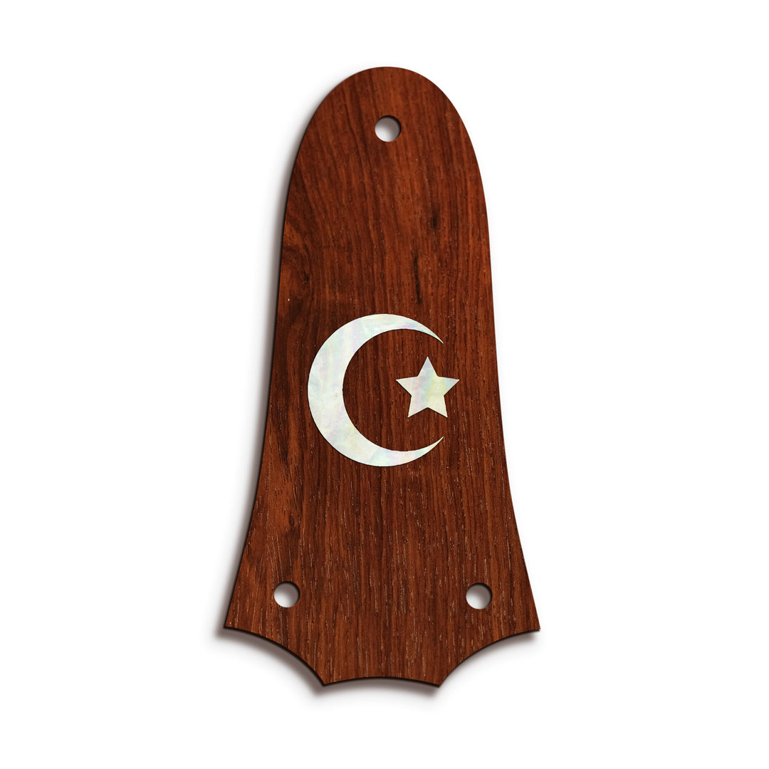 Taylor TR3 | Truss Rod Covers