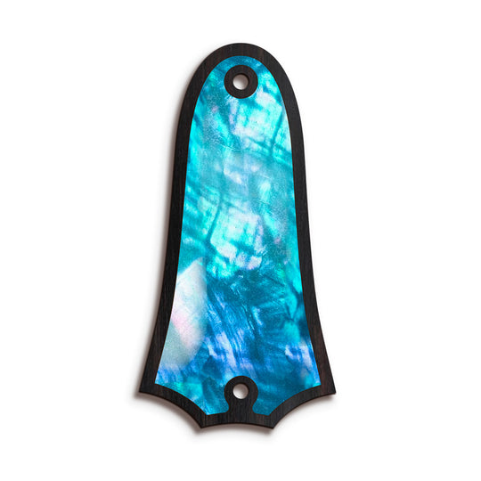 Taylor TR4 | Truss Rod Covers