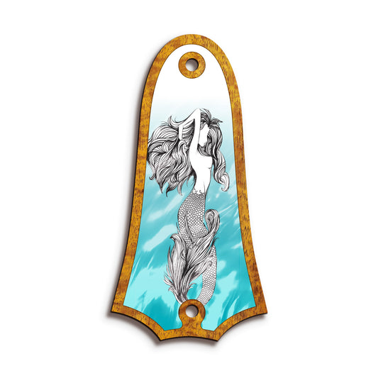 Taylor TR4 | Truss Rod Covers