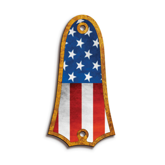 Taylor TR4 | Truss Rod Covers