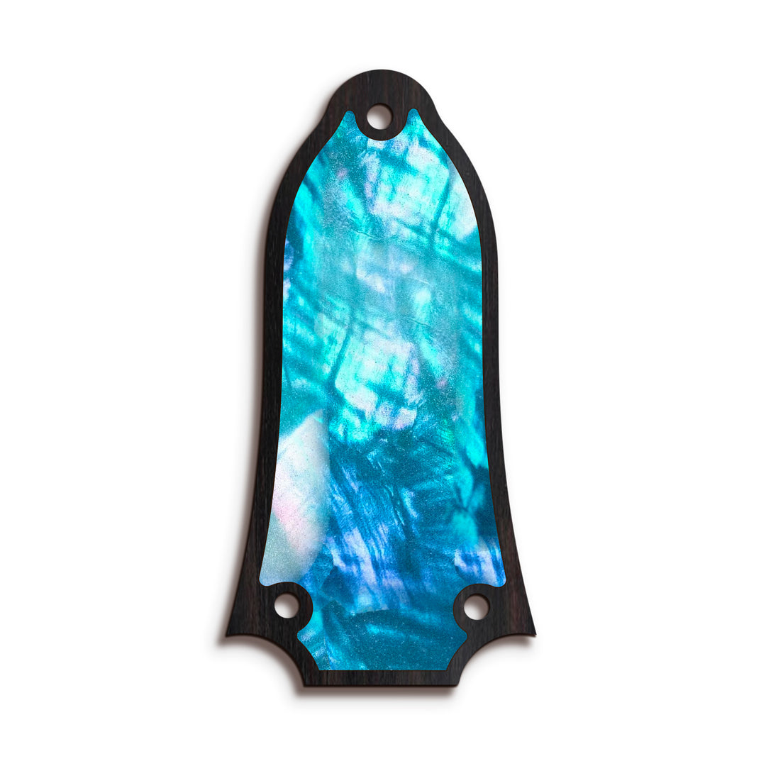 Epiphone TR6 | Truss Rod Covers
