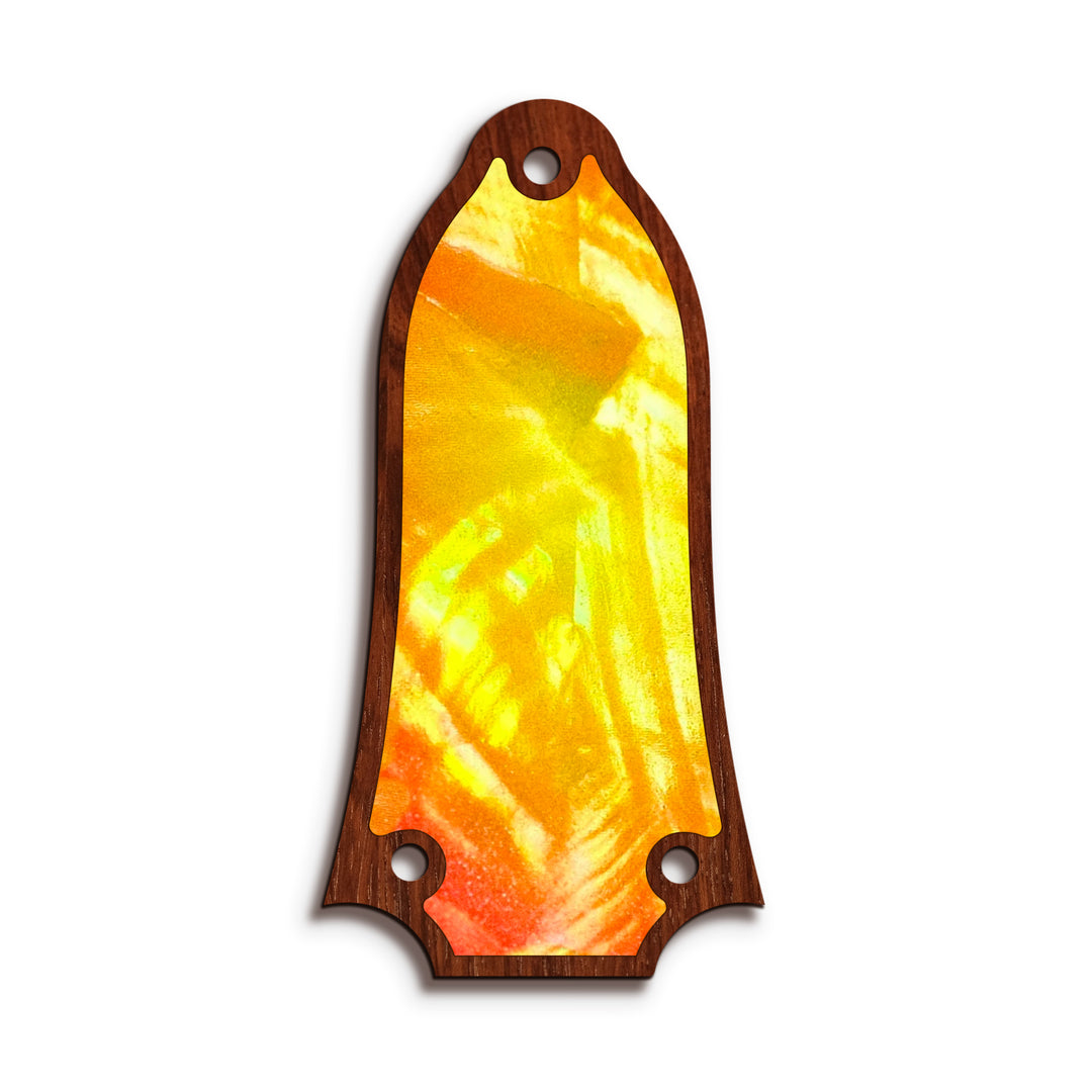Epiphone TR6 | Truss Rod Covers