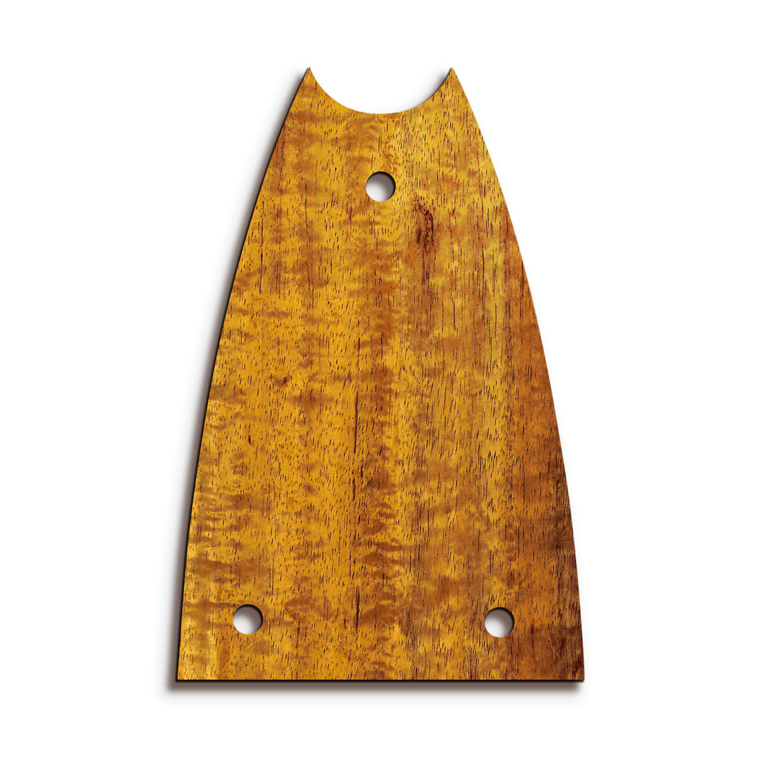 Epiphone TR7 | Truss Rod Covers